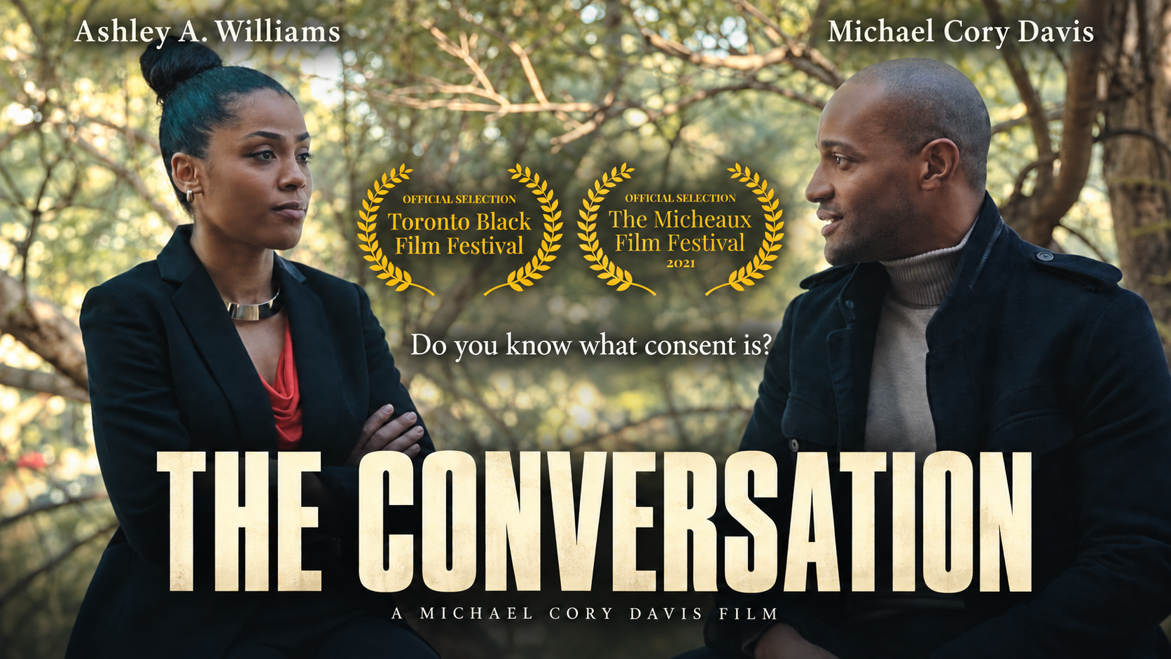 The Conversation film cover
